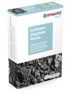 Carbone Vegetale Polvere 100g