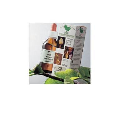 ROSA CANINA 100ML MG