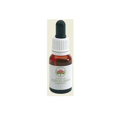 DOG ROSE AUSTRALIAN 15ML