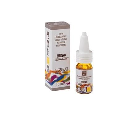 OLIO ESS NAT ZENZERO 5ML