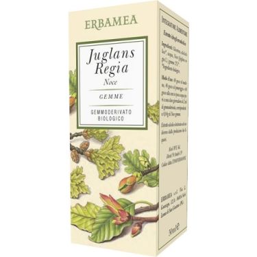 JUGLANS REGIA NOCE BIO 50ML
